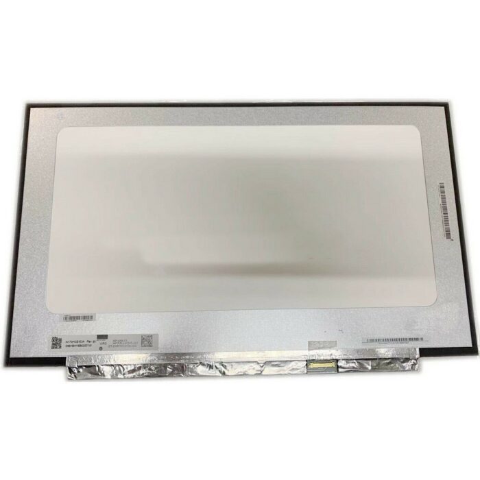 17.3" FHD IPS LED Matte 60HZ EDP 30 Pin Panel