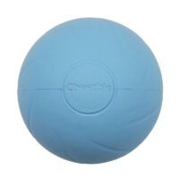Interactive Pet Ball Cheerble Ball W1 SE