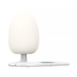Night lamp with Qi wireless charging function