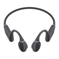 Earphones QCY T25 (dark grey)