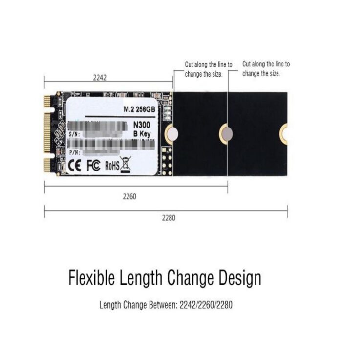 256GB M.2 2242-2280 Solid State Disk