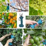 Cordless Pruner, 18V (without battery and charger) - Image 2