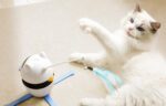 Rojeco 3 In 1 Interactive Cat Toys - Image 7