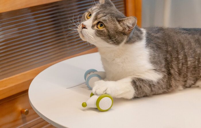 Interactive Cat Toy Cheerble Wicked Mouse PLUS (Matcha Green) - Image 7