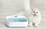 Two-Meal Feeder Smart Bowl with Cooling Petoneer - Image 4
