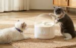 Water Fountain for pets Catlink Pure - Image 8