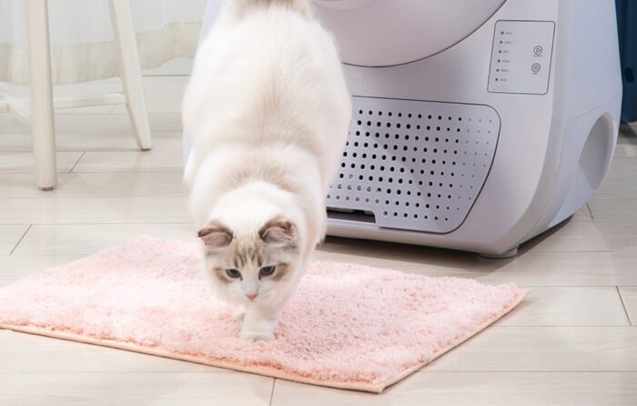 Intelligent self-cleaning cat litterbox Catlink Scooper Young Version - Image 5