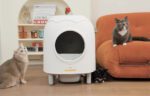 Intelligent self-cleaning cat litterbox HHOLove iPet - Image 6