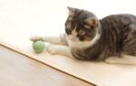 Interactive ball for cats Cheerble Ice Cream (Green) - Image 4