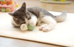 Interactive ball for cats Cheerble Ice Cream (Green) - Image 5