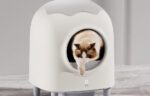 Intelligent self-cleaning cat litterbox HHOLove iPet - Image 5