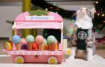 Interactive ball for cats Cheerble Ice Cream (Green) - Image 3