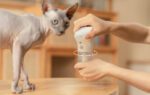 Smart odor eliminator Cheerble - Image 13