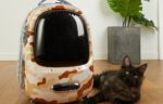 Pet Travel Backpack PetKit Breezy 2 (Desert Moro) - Image 4