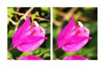 3 filters ND16+ND64+ND256 Sunnylife for Pocket 3 - Image 7