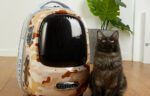 Pet Travel Backpack PetKit Breezy 2 (Desert Moro) - Image 2