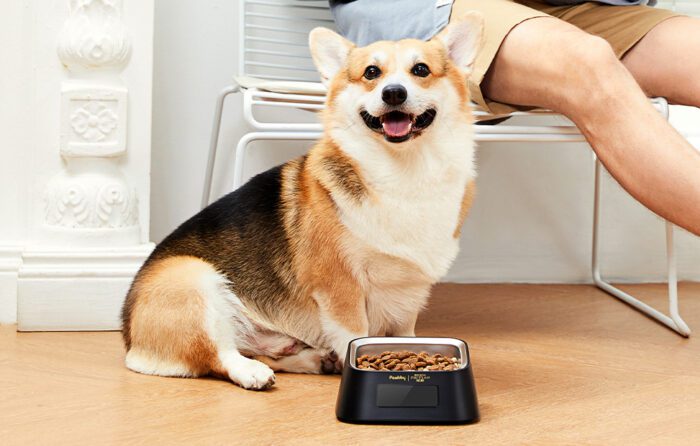 Smart Pet Bowl Pawbby - Image 5