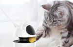 Rojeco 3 In 1 Interactive Cat Toys - Image 5