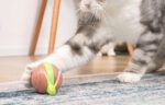 Interactive Cat Toy Cheerble Wicked Snail (blue) - Image 5
