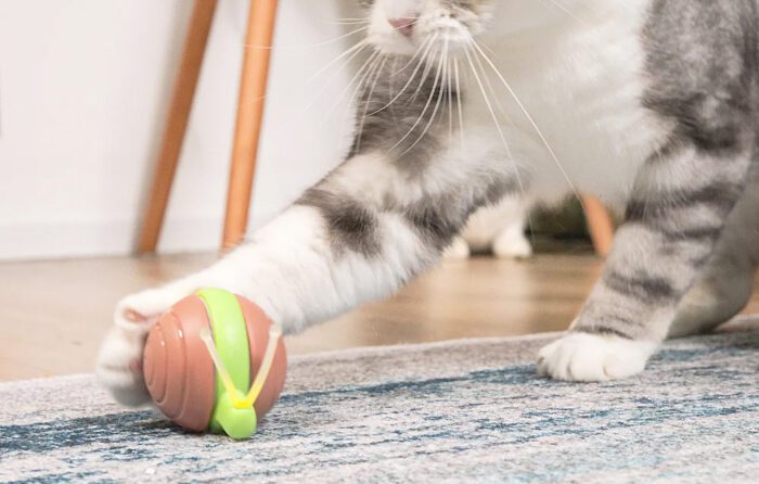 Interactive Cat Toy Cheerble Wicked Snail (blue) - Image 5