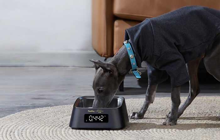 Smart Pet Bowl Pawbby - Image 6