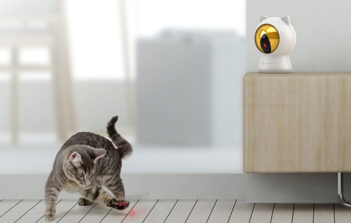 Smart laser for dog / cat play Petoneer Smart Dot - Image 5