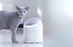 Water Fountain for pets Catlink Pure 2 - Image 4