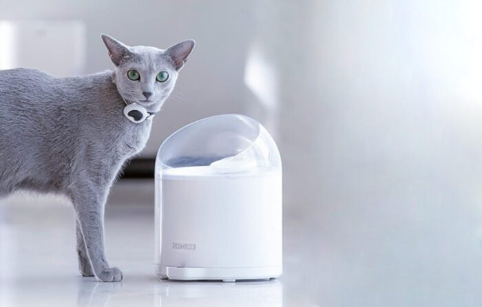 Water Fountain for pets Catlink Pure 2 - Image 4